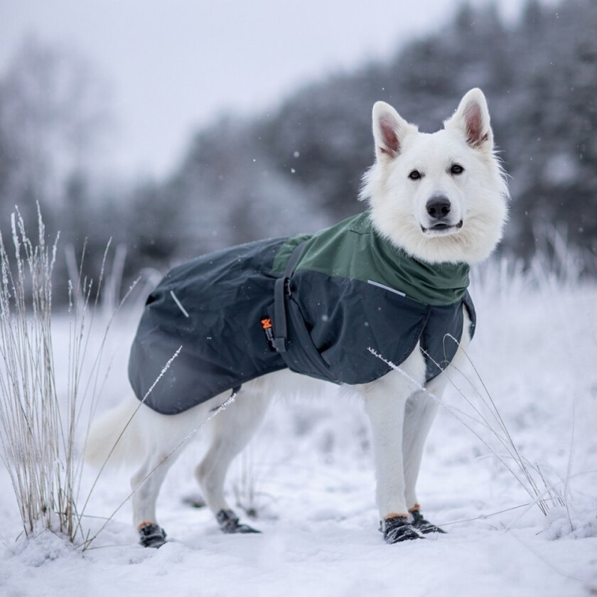 Bilde av Non-Stop Dogwear Glacier 2.0 Vinterdekken i Ull wool Grønn/Svart (90)