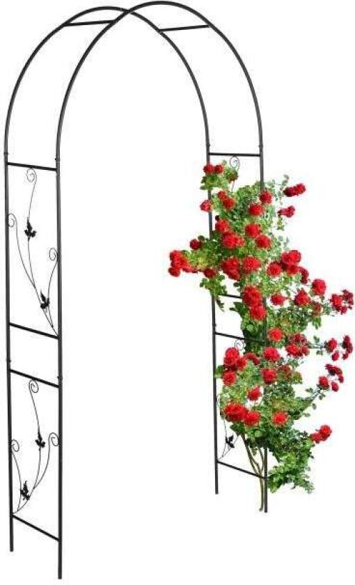 Rund rosebue i svart