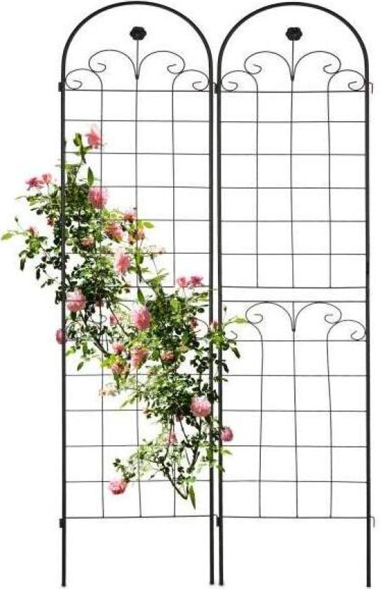 Trellis 180 cm sett med 2 sorte
