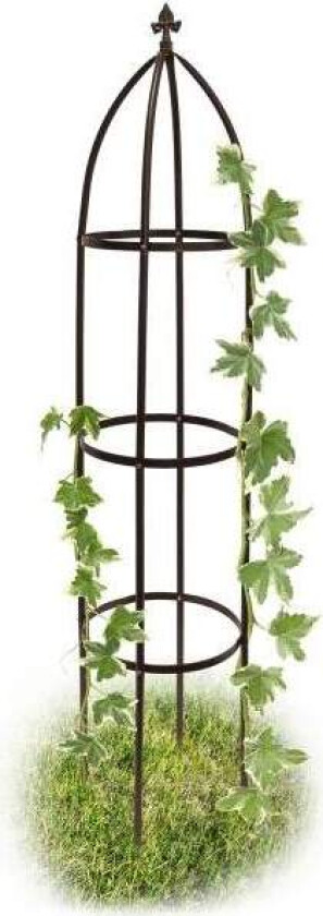 Trellis obelisk metall brun 190 cm