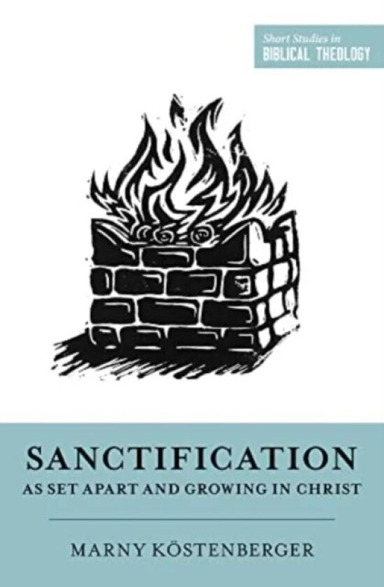 Sanctification as Set Apart and Growing in Christ av Margaret Elizabeth Koestenberger