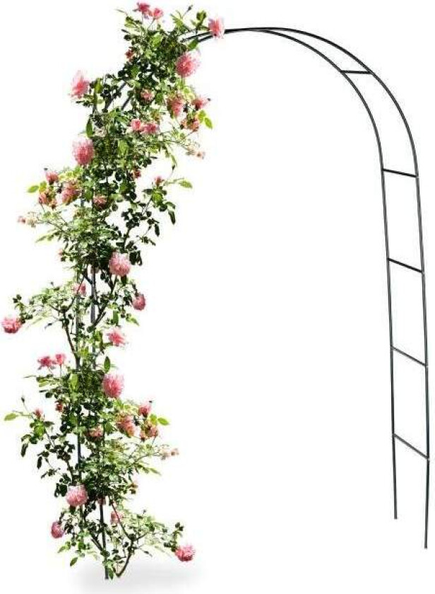 Rosebue i metall 240 cm