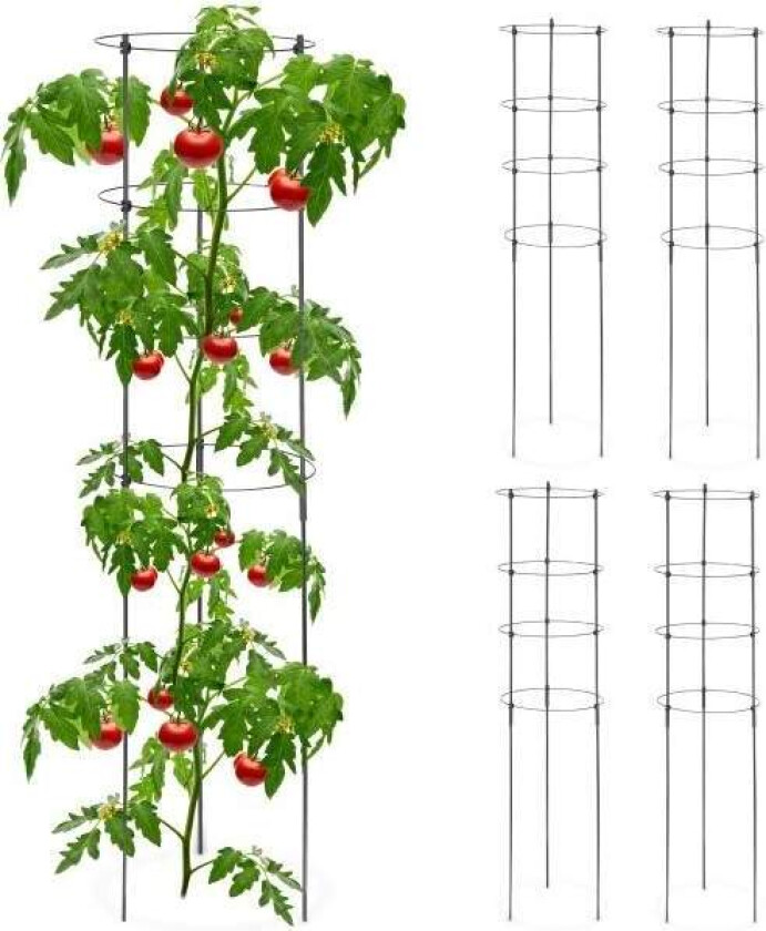 Trellis 120 cm sett med 5 stk