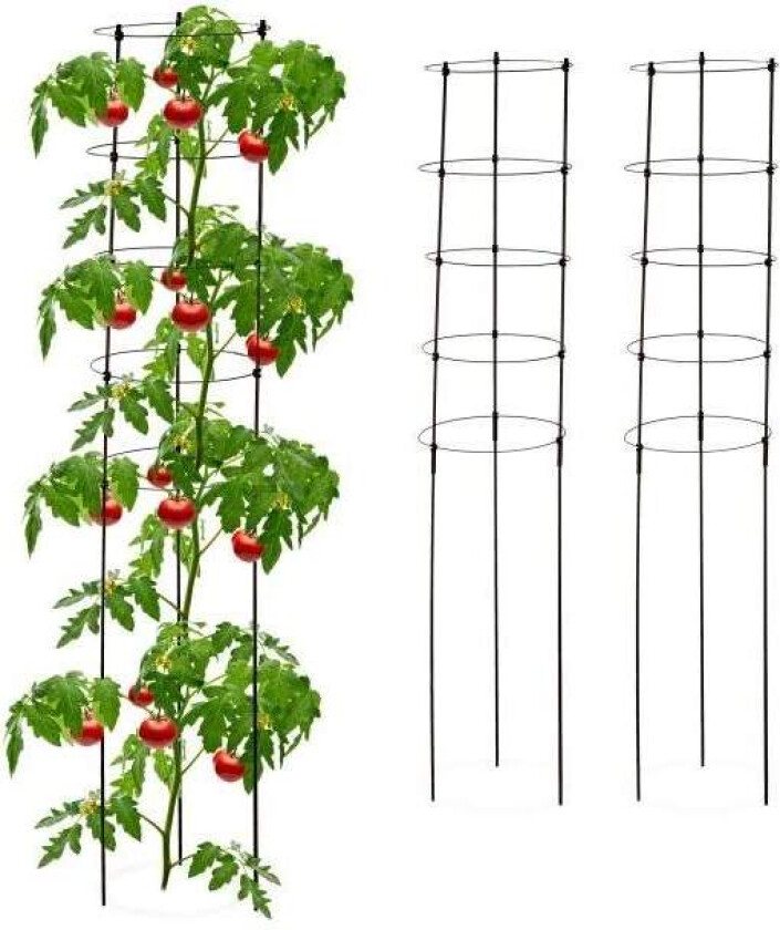 Bilde av Trellis 150 cm sett med 3 stk