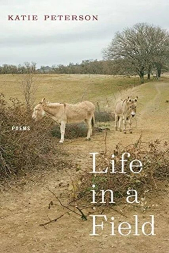 Life in a Field ¿ Poems av Katie Peterson, Young Suh