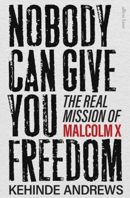 Nobody Can Give You Freedom The Real Mission of Malcolm X