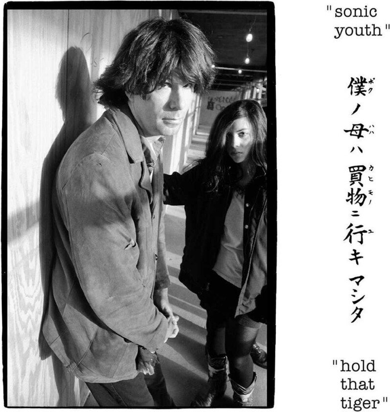 Sonic Youth Hold That Tiger LP/Vinyl