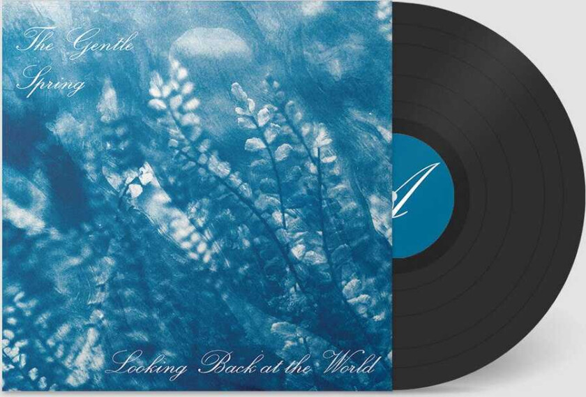 The Gentle Spring Looking Back At The World LP/Vinyl