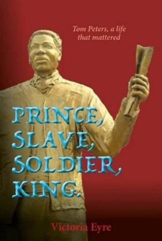 Prince Slave Soldier King av Victoria Eyre