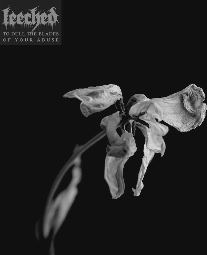 Leeched To Dull The Blades Of Your Abuse CD