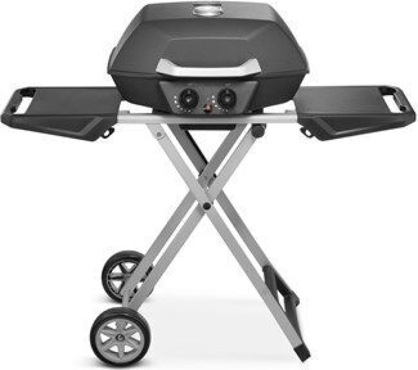 Austin and Barbeque AABQ - Superior Portable 2 Burner Gas Grill