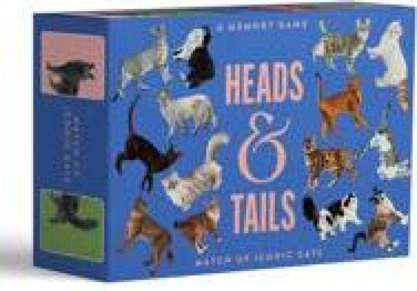 Heads & Tails: A Cat Memory Game Cards