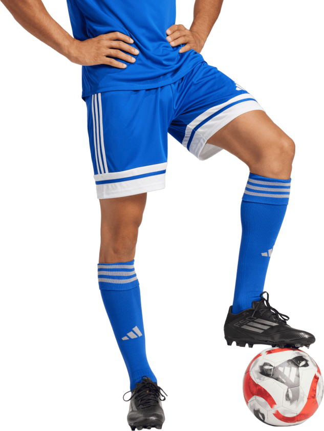 adidas Squadra 25 Shorts, fotballshorts, herre Royal Blue/White