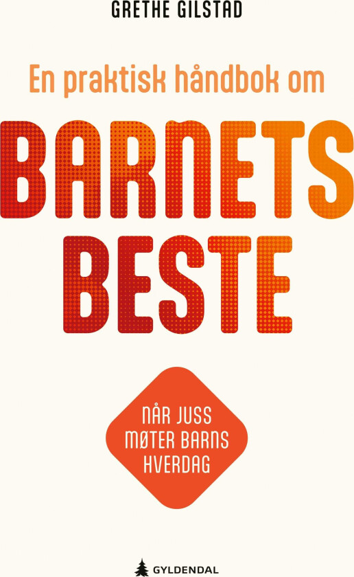 En praktisk håndbok om barnets beste når juss møter barns hverdag