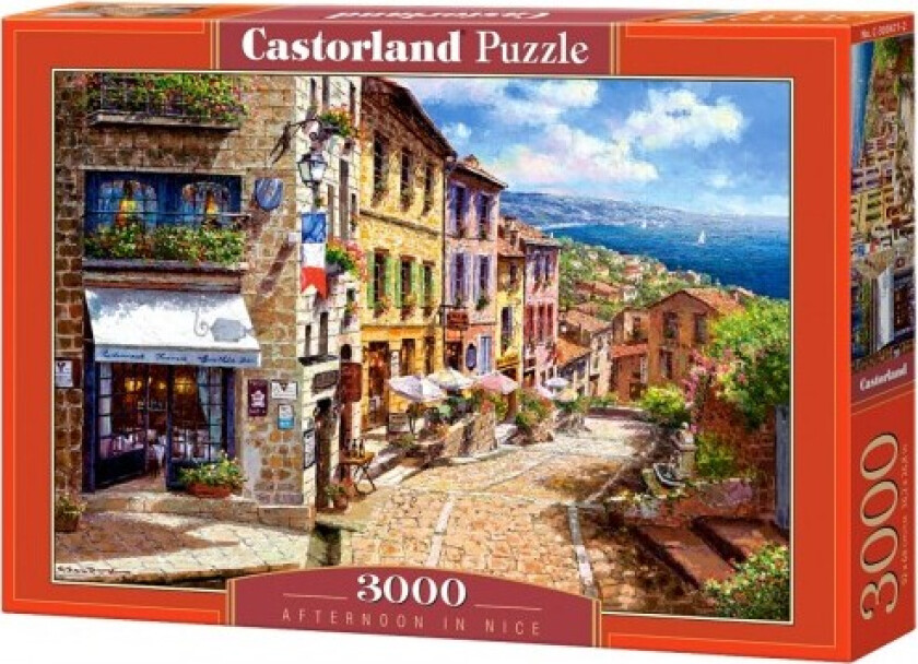 Castorland 3000 Pieces, Nice Afternoon (Gxp-604278)