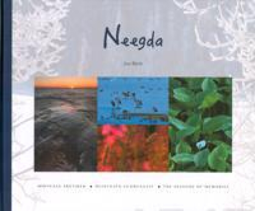 Neegda