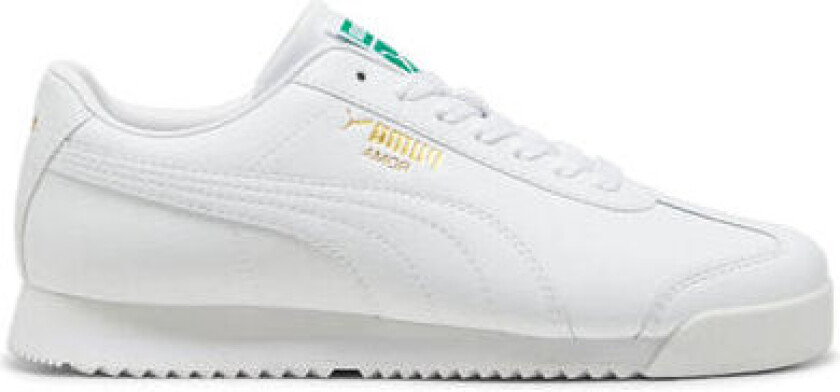 Roma 24 Standard - White-Archive Green 38.5