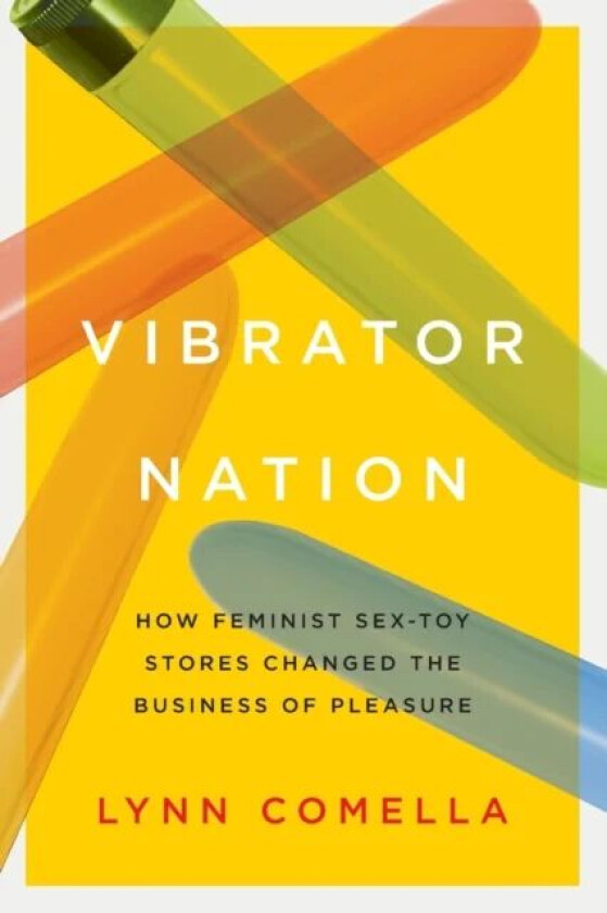 Vibrator Nation av Lynn Comella