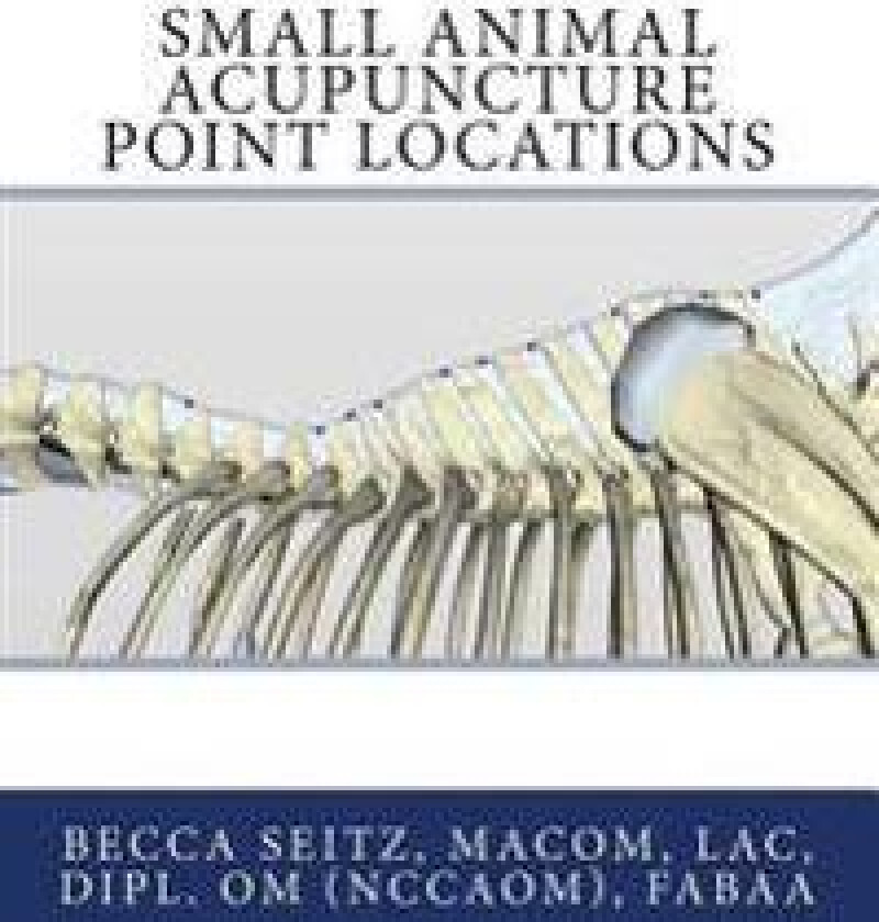 Small Animal Acupuncture Point Locations
