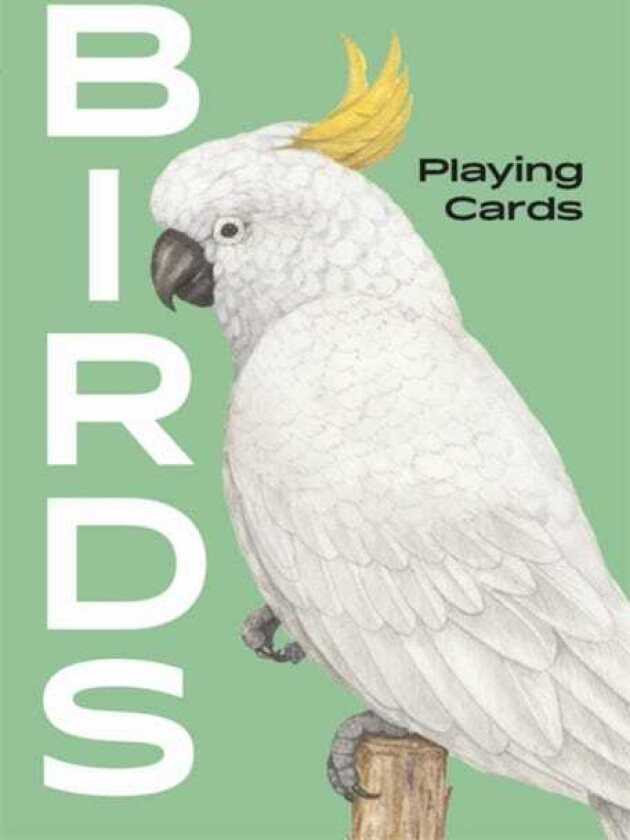 Birds Playing Cards