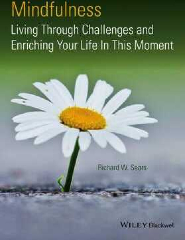 Mindfulness Living Through Challenges and Enriching Your Life In This Moment