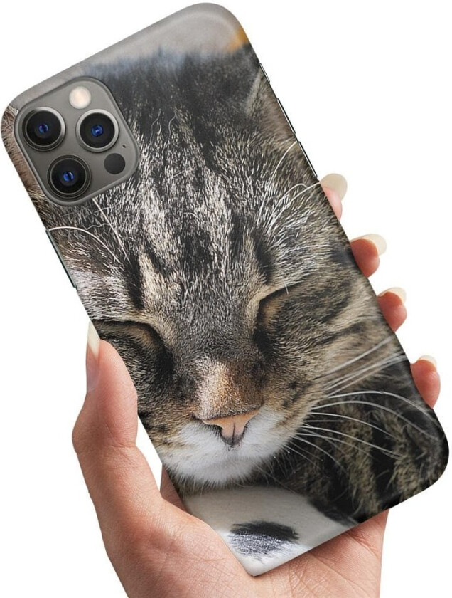 iPhone 13 - Deksel/Mobildeksel Sovende Katt