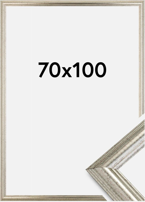 Ramme Västkusten Akrylglass Sølv 70x100 Cm