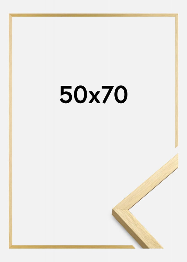 Ramme Chair Gull 50x70 Cm