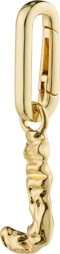 CHARM anheng J, gullbelagt