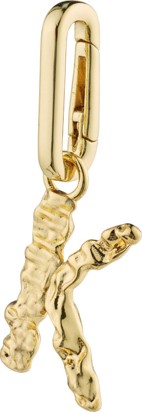 CHARM anheng K, gullbelagt