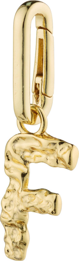 CHARM anheng F, gullbelagt