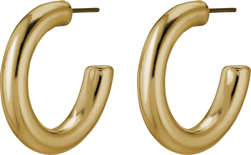 DOLAG øredobber gullbelagt