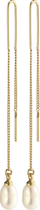 CHLOE perleøredobber gullbelagt