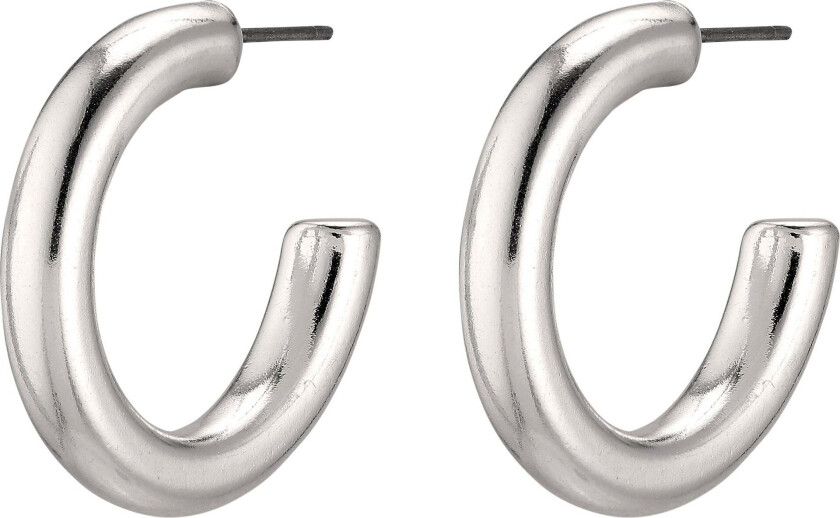 DOLAG øredobber sølvbelagt