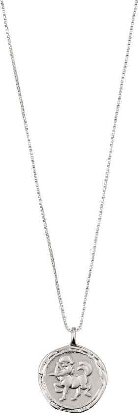 SKYTTEN stjernetegn-halskjede, sølvbelagt