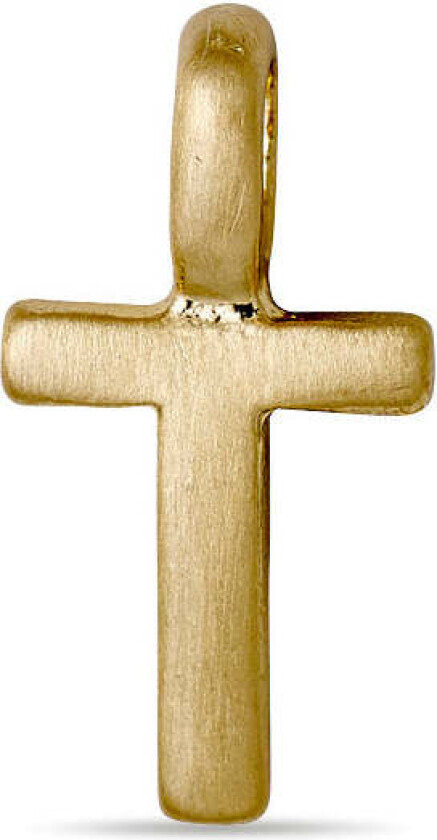 CHARM T anheng, gullbelagt