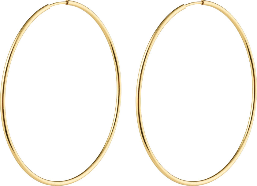 SANNE store hoop øredobber gullbelagt