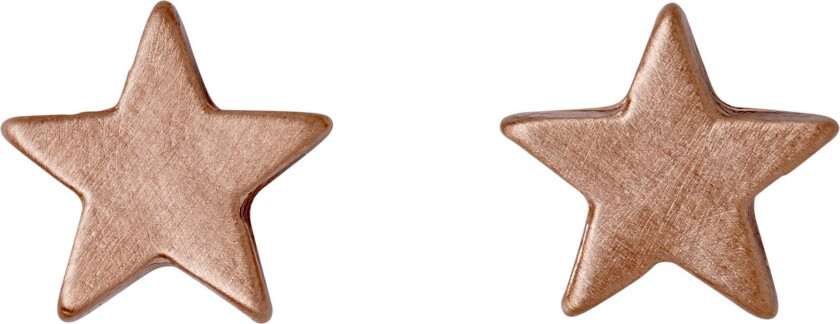 AVA stjerne-øredobber roségullbelagt