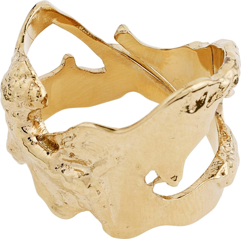 COMPASS organisk ring gullbelagt