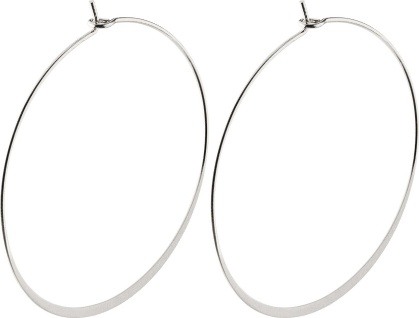 Bilde av TILLY øredobber sølvbelagt