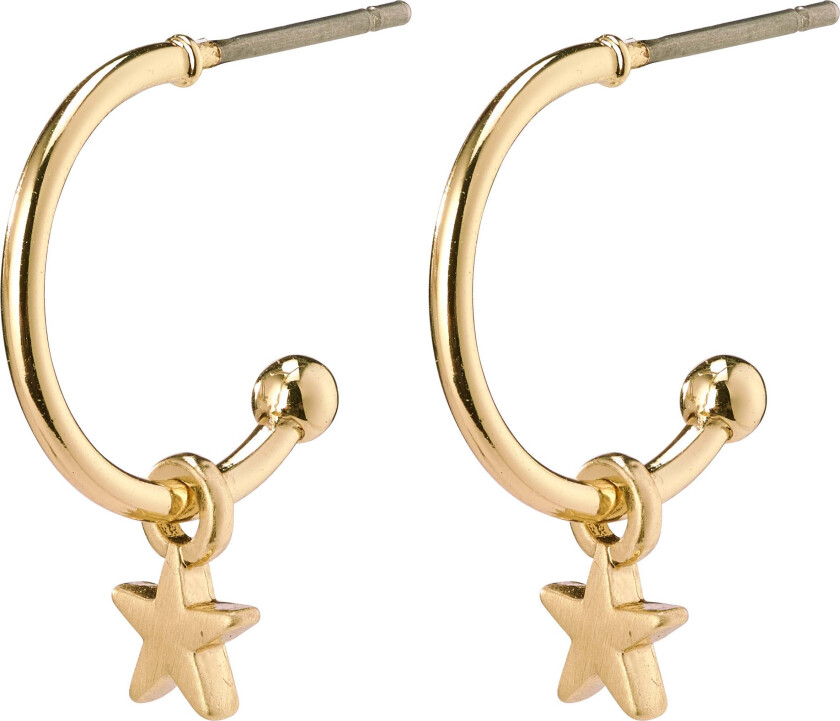 AVA stjerne hoop øreringer gullbelagt