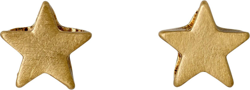 AVA stjerne-øredobber gullbelagt