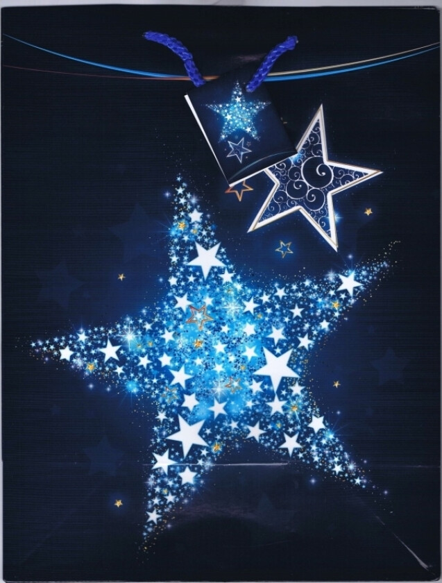 Mfp Papir Gavepose T5 Mix (260X320x135)