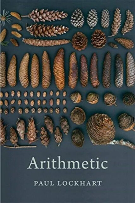 Arithmetic av Paul Lockhart