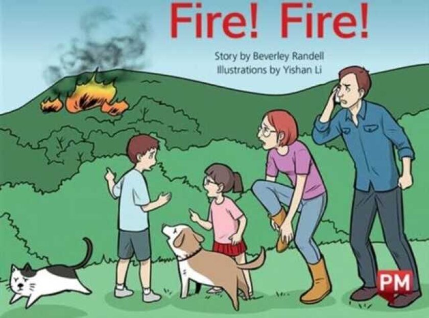 PM YELLOW FIRE FIRE PM STORYBOOKS LEVEL
