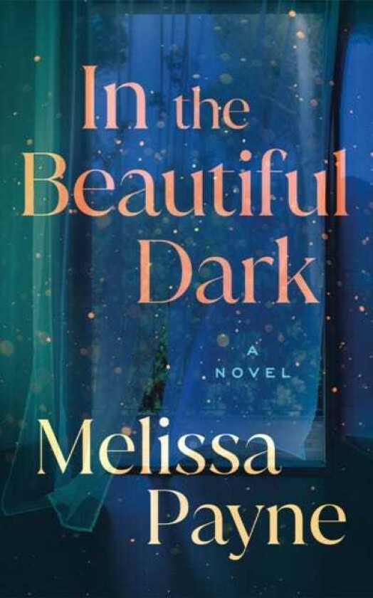 In the Beautiful Dark A Novel