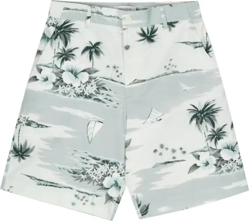 Herre, Shorts, Grønn, XS