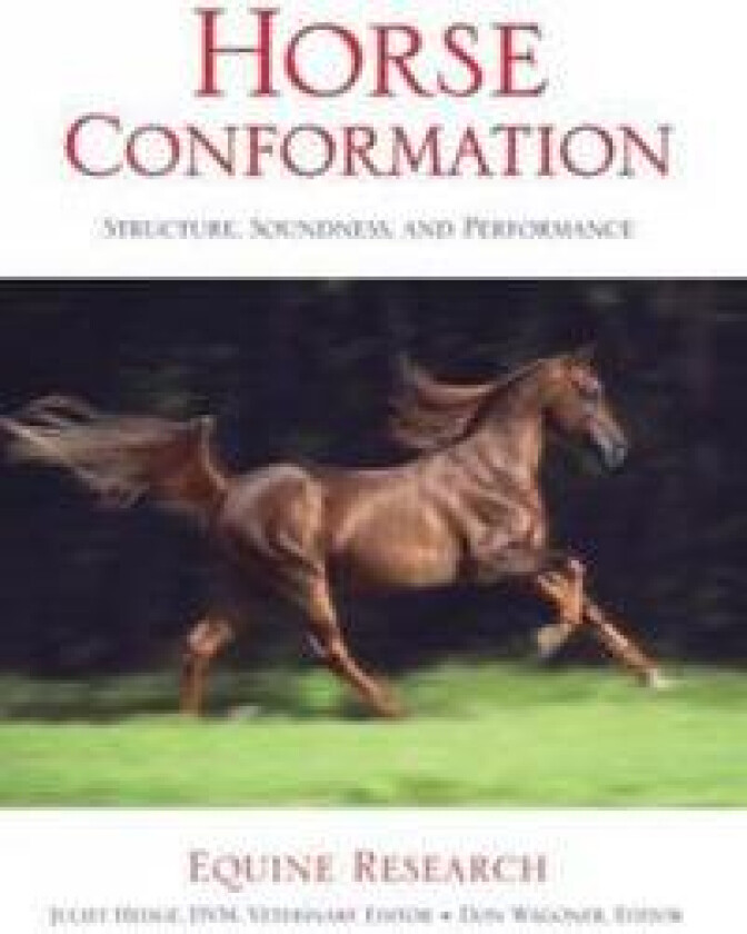 Horse Conformation