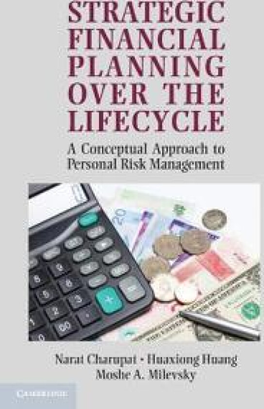 Strategic Financial Planning over the Lifecycle