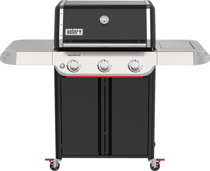 Genesis E-315 Gassgrill 2025